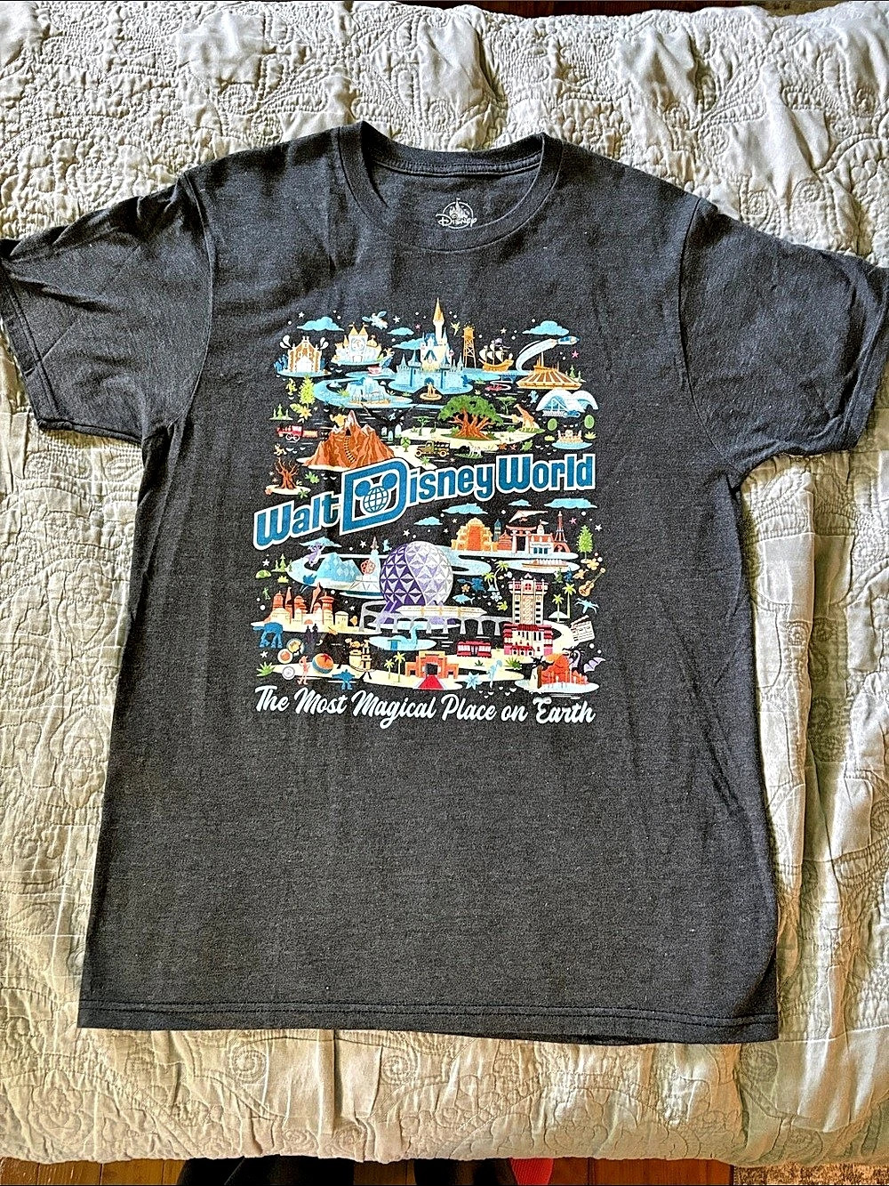 Disney Walt Disney World Map Parks Attractions T-Shirt Black Medium